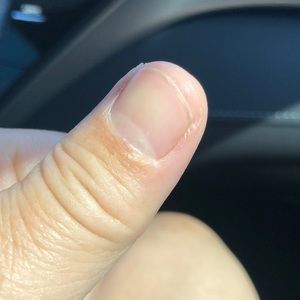 Meet your Posher, Paul